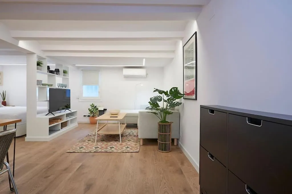 Acogedor Apartamento En El Eixample Barcelona Apartment